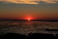 Nordsee Main