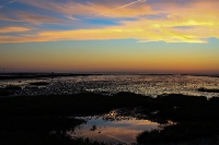 Nordsee Main