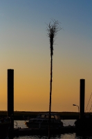 Nordsee Main