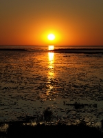 Nordsee Main