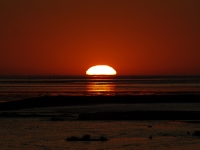 Nordsee Main