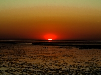 Nordsee Main