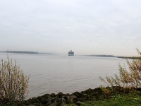 COSCO Development