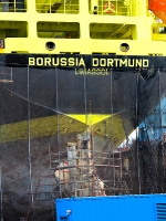 borussia-dortmund_mfw13__021064