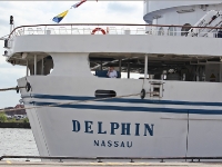 delphin_IMG_4421-