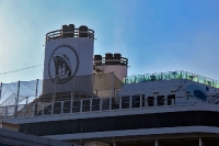 MS Rotterdam