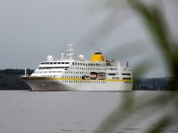 MS Hamburg 1