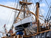 Amerigo-Vespucci_mfw13__027318