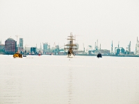 gfa_AA086178