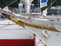 P6204656