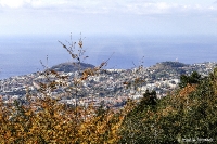 Kanaren