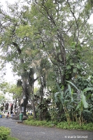 Madeira