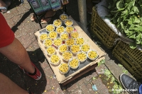 Urlaubswelten