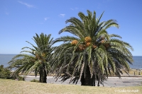 Urlaubswelten