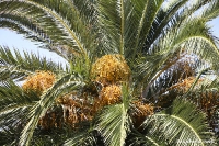 Urlaubswelten
